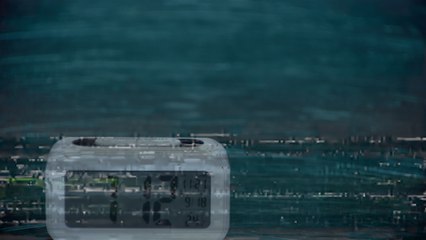 Jack Herer - Walking Pastime