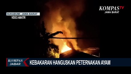 Kebakaran Hanguskan Peternakan Ayam