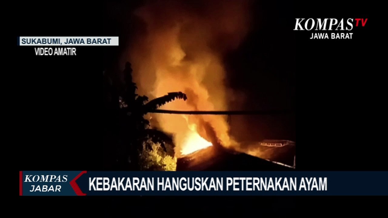 Kebakaran Hanguskan Peternakan Ayam