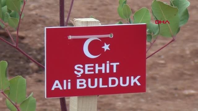 KOZAN'DA ŞEHİTLER İÇİN FİDAN DİKİLDİ