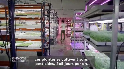 En 2050, fini les quatre saisons… que va-t-on manger ?