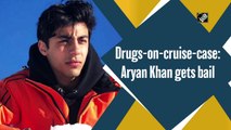 Drugs-on-cruise-case: Aryan Khan gets bail