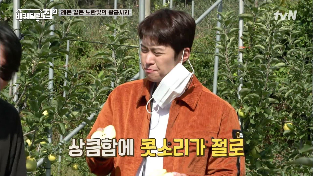 감동의 맛, 노란빛의 황금 사과!   희원 vs 명이 과연 승자는?!