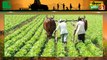 Bihar में Tractor पर मिल रहा 3.40 Lac का अनुदान, सरकार ने किसानों के लिए उठाया क़दम | Kisan Bulletin | Green TV