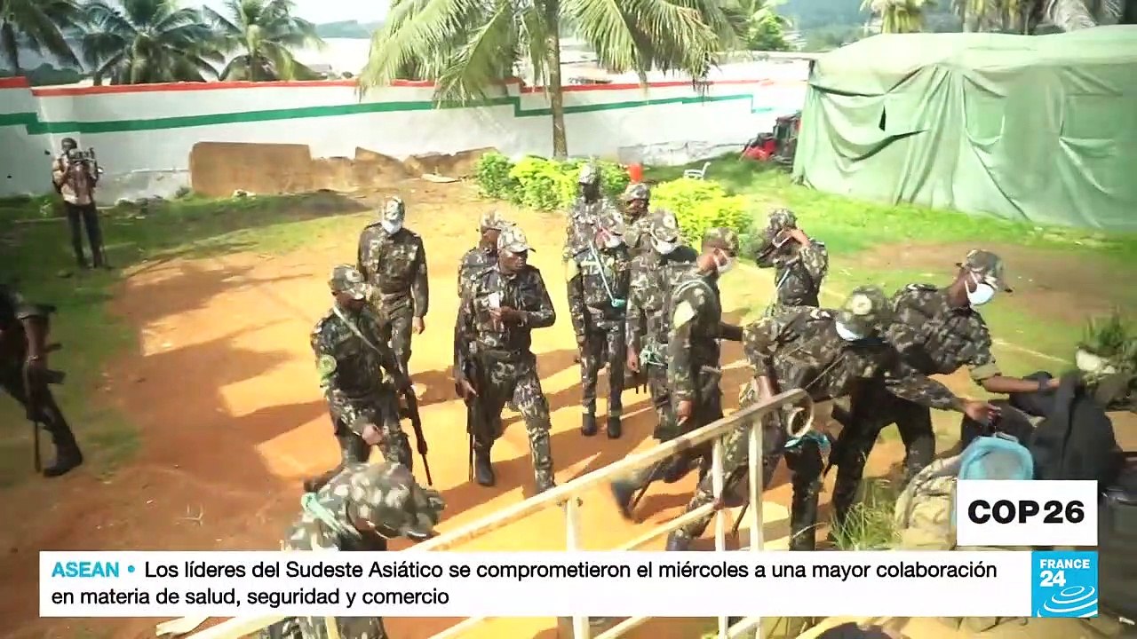 El 'ejército verde' de Costa de Marfil: 650 soldados combaten la deforestación