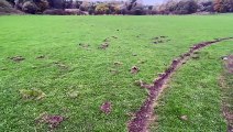 “All we want is for our kids to be able to play football” – football club hits out after pitches damaged for second time in three weeks
