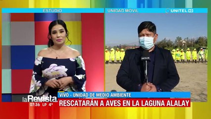 Realizan rastrillaje por los alrededores de la laguna Alalay y rescatarán a las aves