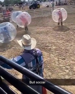 Taureau Bubble, un jeu un peu dangereux