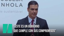 Pedro Sánchez: 