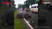 Rhino Rests On Highway As Vehicles Pass By In Assam