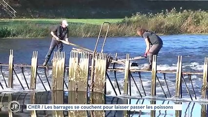 CHER / Les barrages se couchent pour laisser passer les poissons