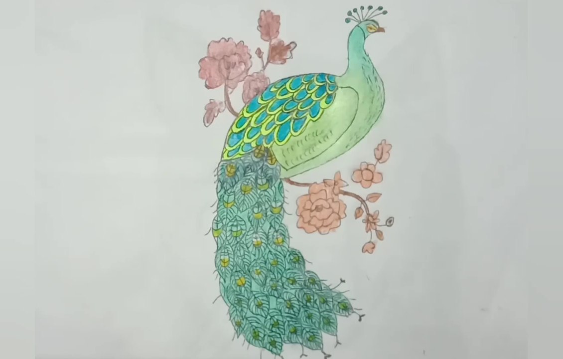 Beautiful peacock drawing
