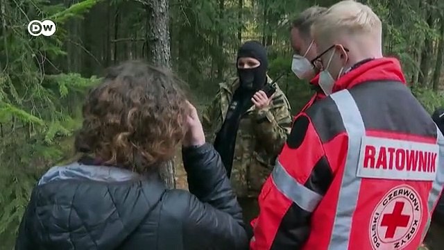 Или Польша, или смерть - что говорят мигрантам пограничники в Беларуси