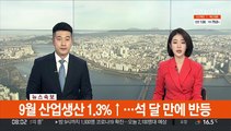 [속보] 9월 산업생산 1.3%↑…석달만에 반등