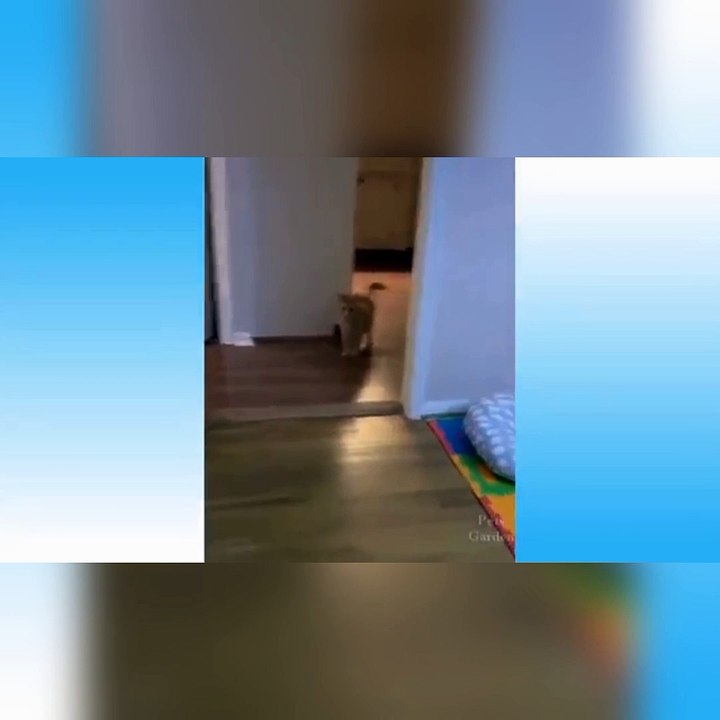 Compilation funny moment
