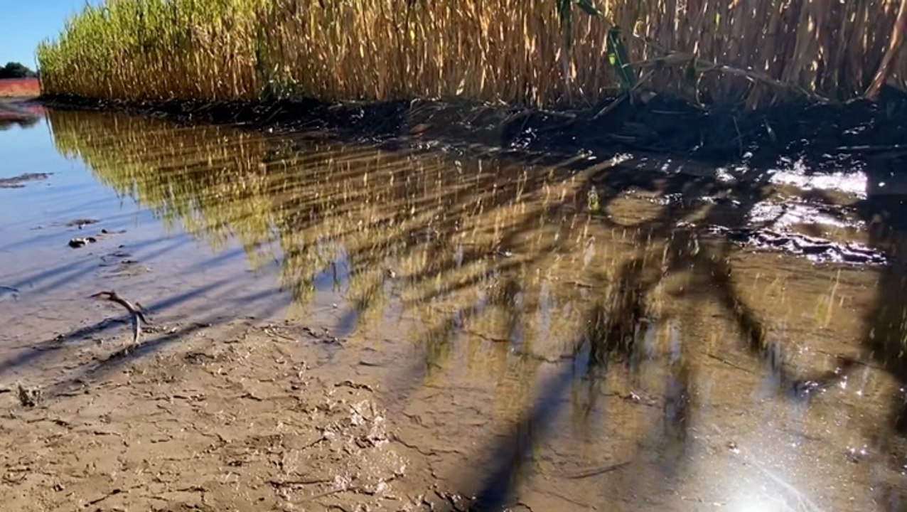 Giant corn maze forced to close on Halloween week due to bomb cyclone