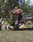 Yoga Instructor Plays Djembe While Balancing on His Knees on Slackline
