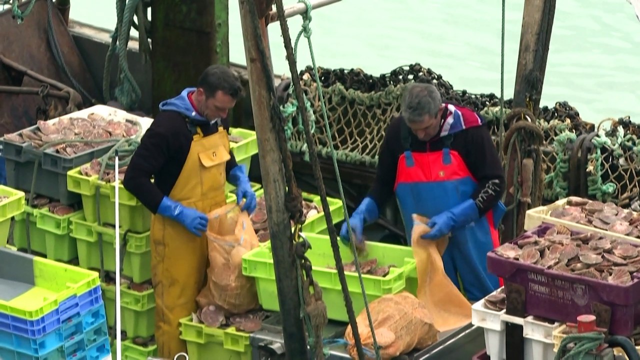Fischkrieg im Ärmelkanal