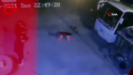 Önce halay çekerek köpekten kaçtılar ardından köpeği halaya kattılar