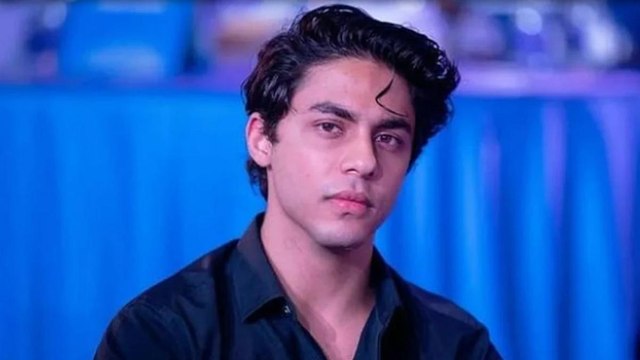 3 lawyers get Aryan's bail, know what were their arguments