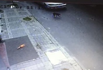 YAVRU KÖPEĞİ EZİP, YOLUNA DEVAM ETTİ