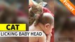 'Caring pet cat treats baby boy like a kitten'