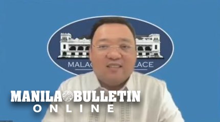 'Slow but careful' approach impels IATF to maintain alert level 3 in NCR — Roque