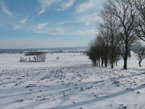 Jaia - sommeil paradoxal