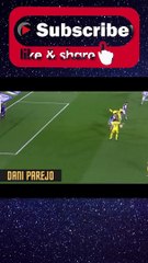 PERFECT GOAL DANI PAREJO