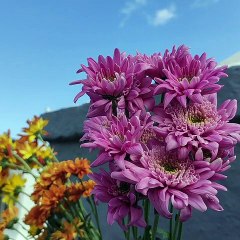 Événements inexpliqués au cimetière de l’Est