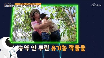 이상인 가족의 전용 마트↗ 남다른 스케일 ⧙ㅎㄷㄷ⧘ TV CHOSUN 211029 방송