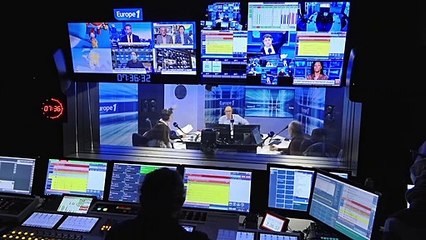 Un loup mort retrouvé en Loire-Atlantique, une première depuis un siècle