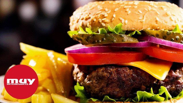 Hallan compuestos tóxicos en el 80% de los productos de comida rápida