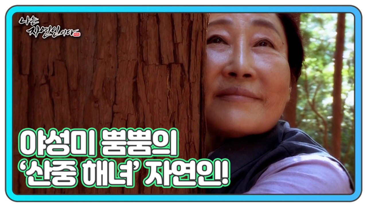 야성미 뿜뿜의 ‘산중 해녀’ 자연인이 왔다! 나는 자연인이다 476회 예고