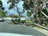 Avustralya'da etkili olan fırtına 450 bin evi elektriksiz bıraktı