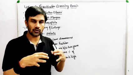 Chromosome Theory of Linkage Class 12