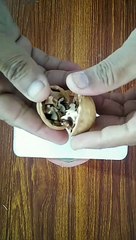 how to make Walnuts ring box.