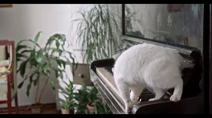 Relaxing Piano Music - Calm, Relaxing Music, Sleep Music, Meditation