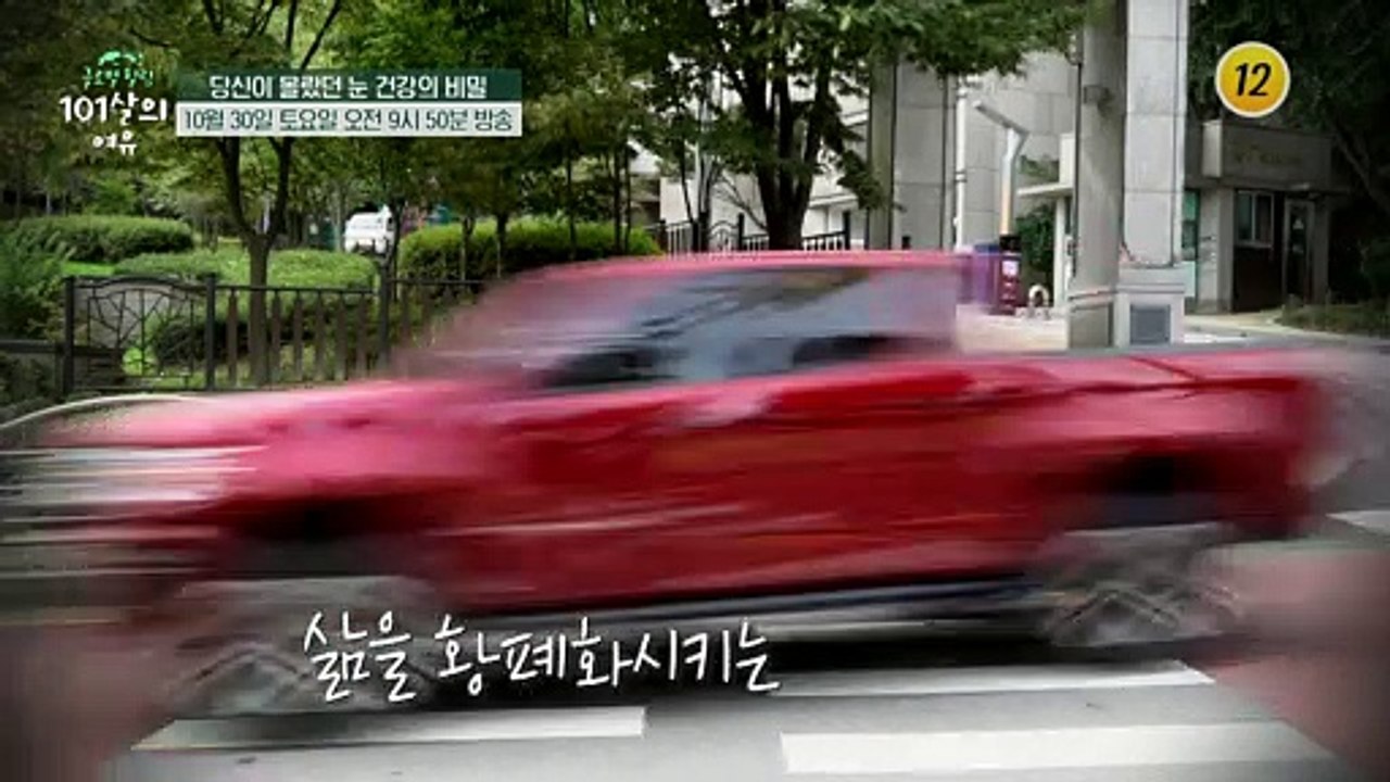 당신이 몰랐던 눈 건강의 비밀_글로벌 힐링 101살의 여유 18회 예고 TV CHOS...