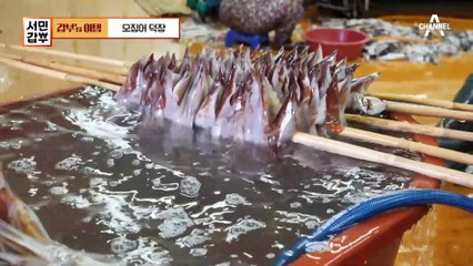 영덕 해풍을 품은 춐춐한 반건조 오징어♬ 연 매출 7억 오징어 덕장의 매출 비결!