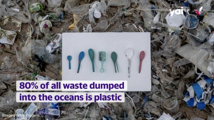 What are health risks caused by plastic