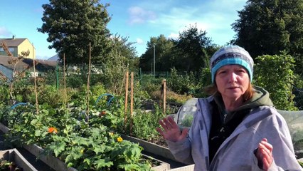 Community Food Growing In Wester Hailes