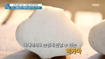 당뇨·고혈압 동시에 잡는 멕시코 감자 '히카마'
