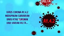 Apa Itu Virus Corona Varian AY.4.2 Delta Plus yang Jadi Perhatian Kemenkes