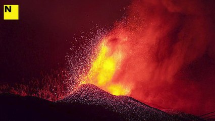 VIOLÈNCIA DE GÈNERE LA PALMA (CAST)