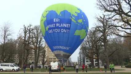 Greenpeace celebra medio siglo de trabajo en favor del planeta
