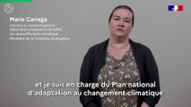 Comprendre le Plan national d'adaptation au changement climatique (PNACC) et son articulation avec la future Stratégie française sur l'énergie et le climat, Marie Carrega - Ministère de la Transition écologique