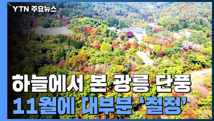 하늘에서 본 광릉 단풍...11월에 대부분 '절정' / YTN