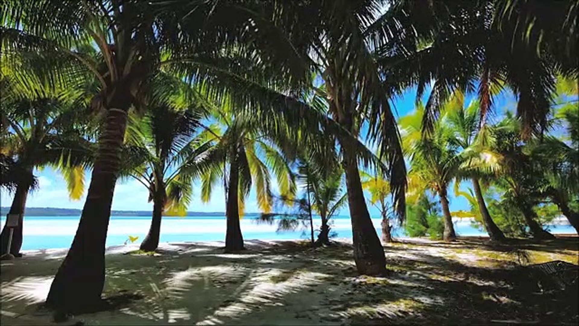 ⁣Study Music, Concentration, Focus Music, Relaxing Music, Meditation, Work, Calm Music
