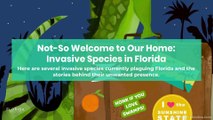 Not-So Welcome to Our Home: Invasive Species in Florida